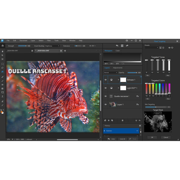 ACDSee Gemstone Photo Editor 14