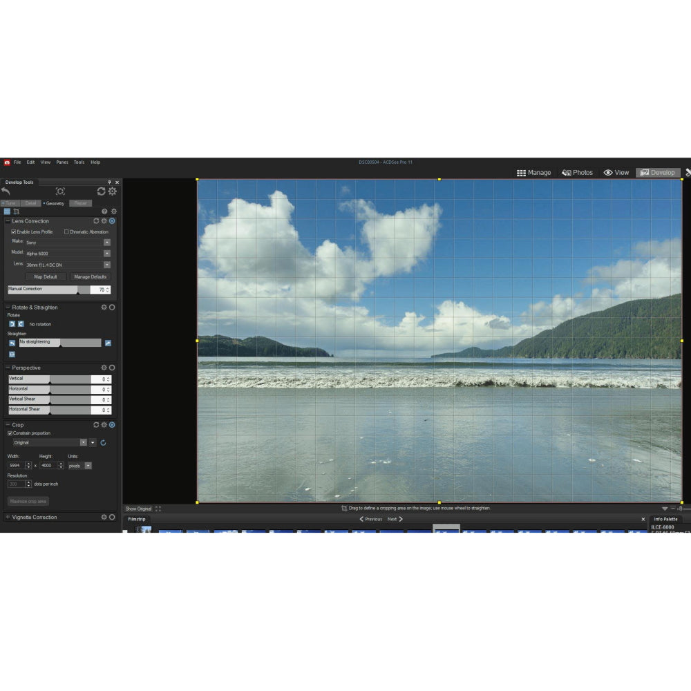 ACDSee Photo Studio Professional 2024