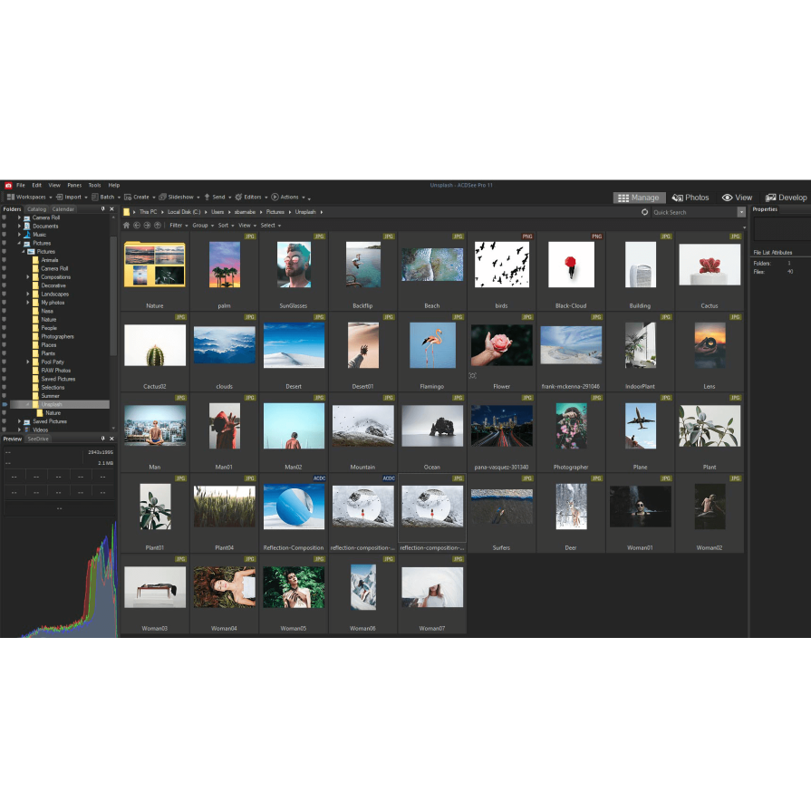 ACDSee Photo Studio Professional 2025