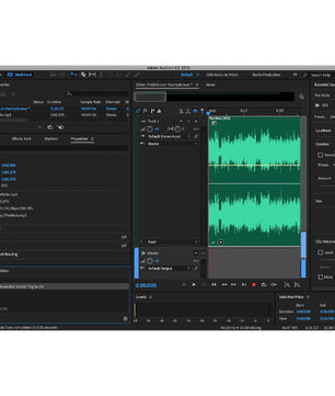 Adobe Audition