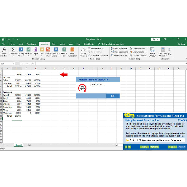 Professor Teaches Office 2019