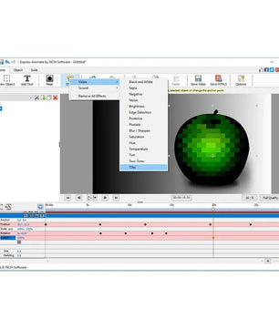 NCH Express Animate (Master's Edition)