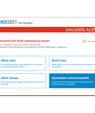 Emsisoft Anti-Malware Home