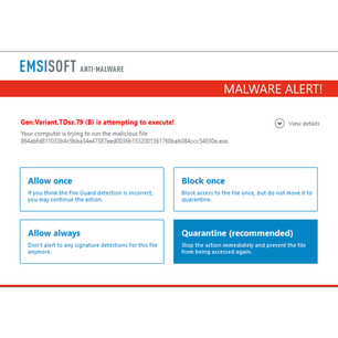 Emsisoft Anti-Malware Home