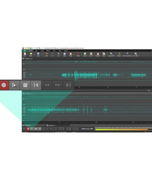 NCH WavePad (Master's Edition)