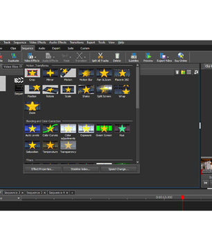 NCH VideoPad (Master's Edition)