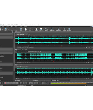 NCH WavePad (Master's Edition)